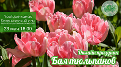 «Бал тюльпанов» состоится в Ботаническом саду Твери