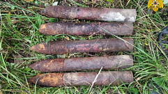 В Тверской области нашли и обезвредили 60 взрывоопасных предметов