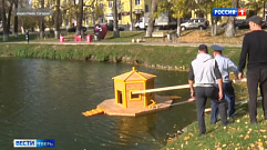На пруду во Ржеве появился новый домик для уток
