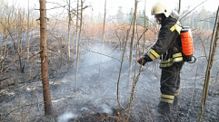 В Тверской области вводится особый противопожарный режим