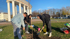 В Твери волонтеры Молодежной палаты благоустроили площадь Гагарина