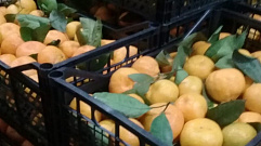 Во Ржеве с нарушениями торговали мандаринами и хурмой