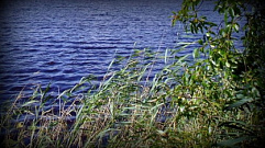 В Тверской области из реки достали тело утонувшего мужчины