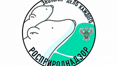 Юные жители Тверской области могут побороться за 50 путёвок в «Орлёнок»