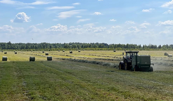 Уборка озимых зерновых заканчивается в Тверской области