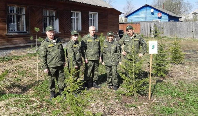 В Тверской области высадили сеянцы и саженцы ели в рамках акции «Сад памяти»