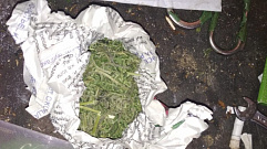 Коноплю и марихуану нашли в доме жителя Вышнего Волочка