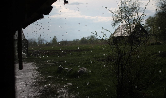 Днем 9 июня в Тверской области пройдет дождь с грозой