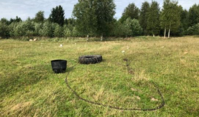 В Тверской области мужчина погиб после нападения быка