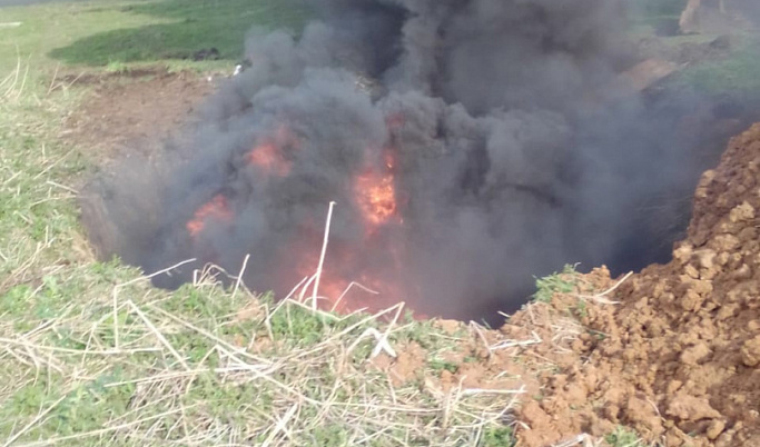 Погибших животных на предприятии в Западнодвинском районе сожгли в специальной яме