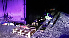 В Тверской области инспекторы ДПС не дали замерзнуть водителю сломавшейся «Газели»