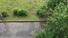 В выходные в Тверской области обещают сильный дождь