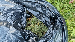 Житель Тверской области хранил в доме более 1 кг конопли