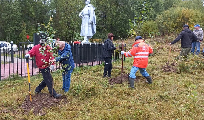В Тверской области проведено озеленение территории воинского захоронения саженцами рябин и берез