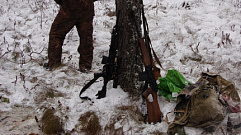 До 1 млн рублей заплатит браконьер за убитого лося в Тверской области