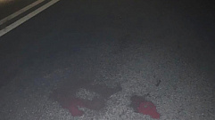 За сутки два пешехода погибли в ДТП в Тверской области