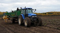 В Тверской области каждый второй рубль инвестиционных вложений направляется в сельское хозяйство