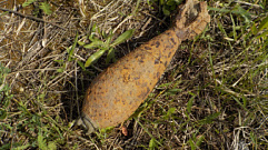 Около деревни Зубцовского округа нашли гранату, мину и артиллерийский снаряд