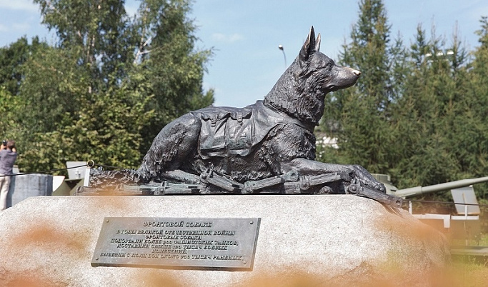 Жители Тверской области смогут окунуться в историю о героизме фронтовых собак