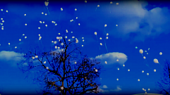 Кемерово мы с тобой: тверитяне  запустили в небо белые шары в память о погибших 