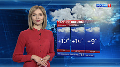 Ночью в Тверской области возможны заморозки до -4 градусов