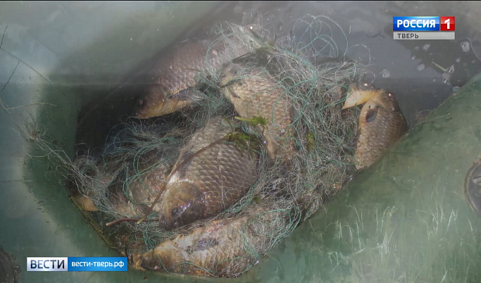 Рыбакам из Тверской области выписали штраф за ловлю рыбы сетями