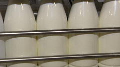 В Тверскую область из Пятигорска завозили фальсифицированную молочку