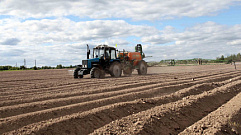 В 2022 году аграриям Тверской области выдали на развитие сельхозпроизводств более 3,8 млрд рублей льготных кредитов