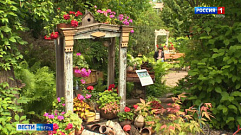 Ботанический сад Твери приглашает заглянуть в «Бабушкины окна»
