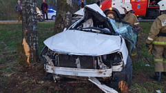 31-летний водитель погиб после столкновения с деревом в Тверской области