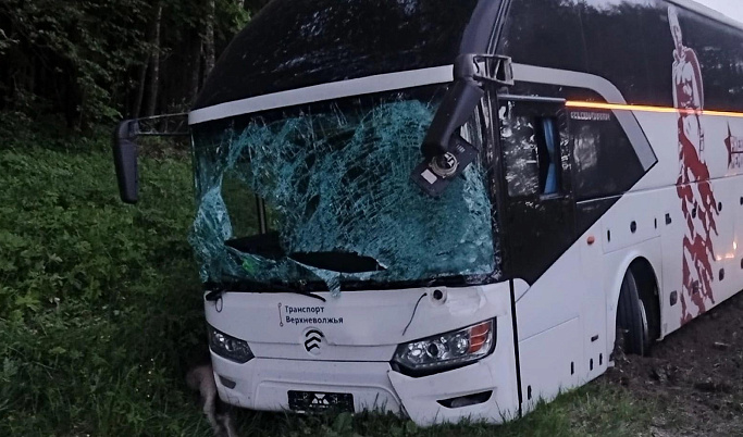 В Тверской области автобус с пассажирами сбил лося