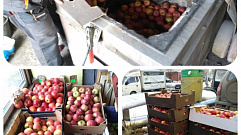 В Твери торговали яблоками сомнительного происхождения
