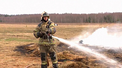 Жителей Тверской области предупреждают о высокой пожарной опасности
