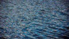 В Тверской области в озере Селигер утонул мужчина