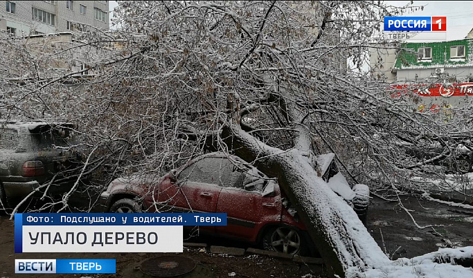 Происшествия в Тверской области сегодня | 7 ноября | Видео