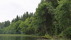 До 2 августа запретили посещать леса Тверской области 