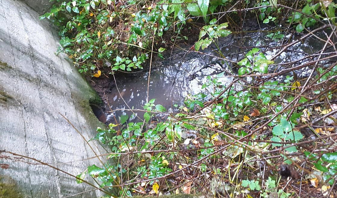 В Тверской области в Тверцу и ручей сбрасывали сточные воды с очистных сооружений