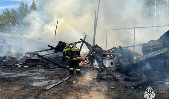 На территории турбазы в Тверской области потушили крупный пожар
