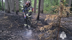 В лесу Удомельского округа произошёл пожар