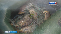 Рыбакам из Тверской области выписали штраф за ловлю рыбы сетями