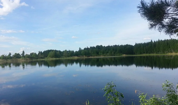 В Тверской области продают участок с озером за 15 млн рублей