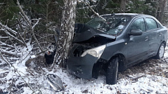 В Тверской области автомобилистка не справилась с управлением и врезалась в дерево