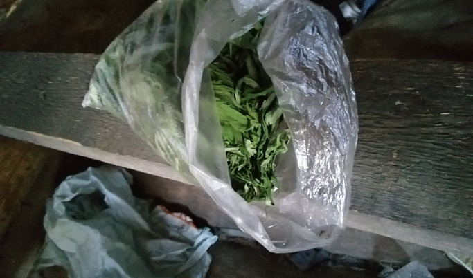 В деревне Тверской области парень хранил три килограмма наркотиков