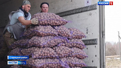 Фермер из Тверской области отправил в Донбасс 25 тонн семенного картофеля