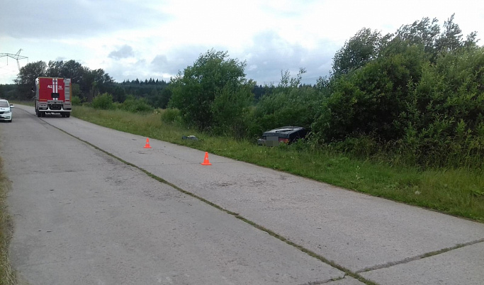 В Удомельском районе машина съехала в кювет, водитель погиб