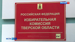 Жители Тверской области могут принять участие в тестировании онлайн-голосования