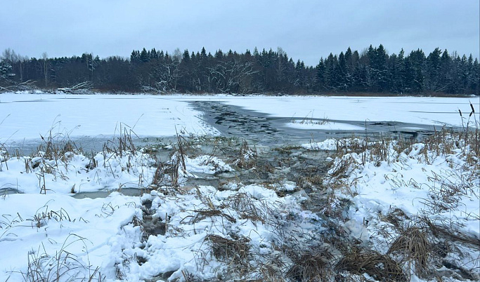 В Тверской области на берегу ручья нашли тело мужчины