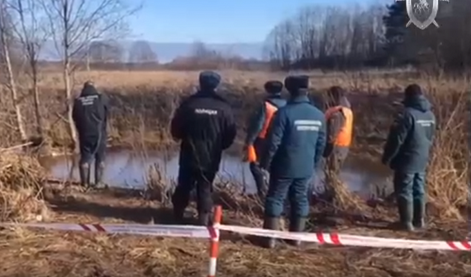 В Тверской области нашли тело пропавшей 7-летней девочки
