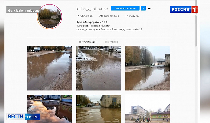 У лужи из Осташкова появился свой Instagram