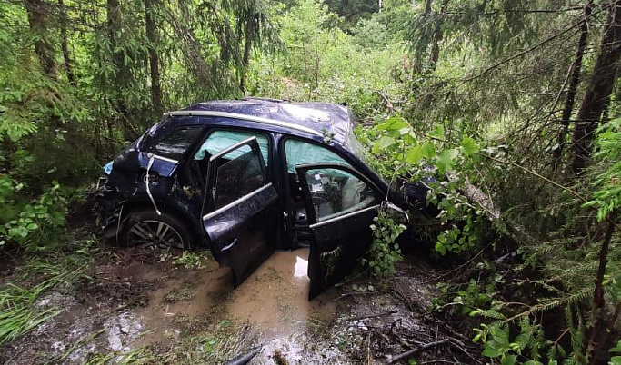 В Тверской области водитель «Ауди» на скорости въехал в дерево и погиб